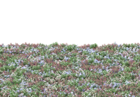 Grass with flowers isolated on transparent background. 3d rendering - illustration png