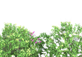 Gras mit Blumen isoliert auf transparentem Hintergrund. 3D-Rendering - Abbildung png