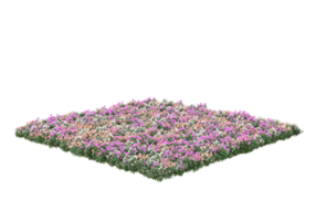 Grass with flowers isolated on transparent background. 3d rendering - illustration png