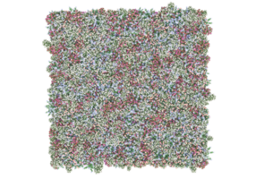 Gras mit Blumen isoliert auf transparentem Hintergrund. 3D-Rendering - Abbildung png