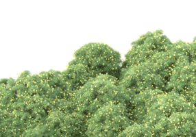 Grass with flowers isolated on transparent background. 3d rendering - illustration png