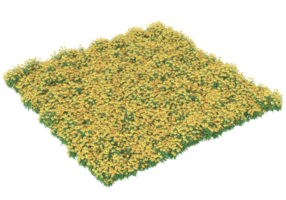 Grass with flowers isolated on transparent background. 3d rendering - illustration png