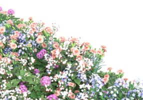 gräs med blommor isolerat på transparent bakgrund. 3d tolkning - illustration png