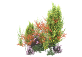 herbe avec des fleurs isolées sur fond transparent. rendu 3d - illustration png