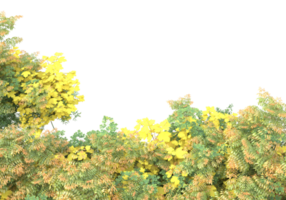 gras met bloemen geïsoleerd Aan transparant achtergrond. 3d renderen - illustratie png