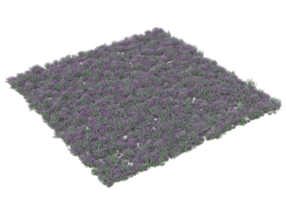 gras met bloemen geïsoleerd Aan transparant achtergrond. 3d renderen - illustratie png