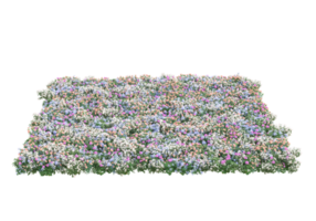 gras met bloemen geïsoleerd Aan transparant achtergrond. 3d renderen - illustratie png