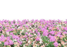 herbe avec des fleurs isolées sur fond transparent. rendu 3d - illustration png