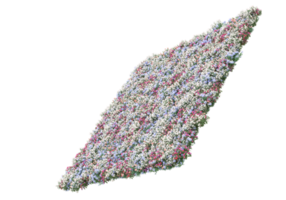 grama com flores isoladas em fundo transparente. renderização 3D - ilustração png