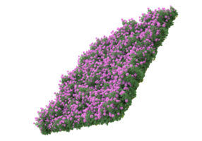 gräs med blommor isolerat på transparent bakgrund. 3d tolkning - illustration png