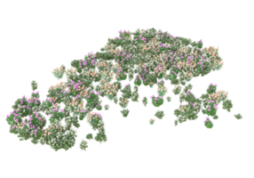 Grass with flowers isolated on transparent background. 3d rendering - illustration png