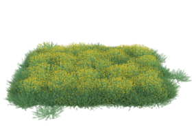 gras met bloemen geïsoleerd Aan transparant achtergrond. 3d renderen - illustratie png