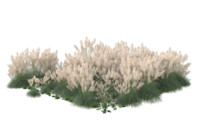 Gras mit Blumen isoliert auf transparentem Hintergrund. 3D-Rendering - Abbildung png