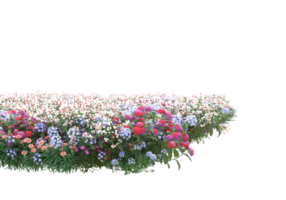 gras met bloemen geïsoleerd Aan transparant achtergrond. 3d renderen - illustratie png