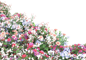 hierba con flores aisladas sobre fondo transparente. Representación 3d - ilustración png