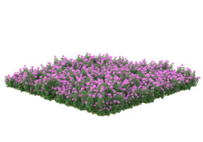 herbe avec des fleurs isolées sur fond transparent. rendu 3d - illustration png