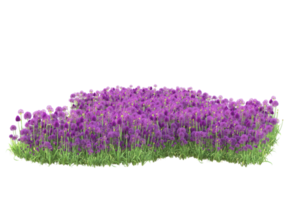 Grass with flowers isolated on transparent background. 3d rendering - illustration png