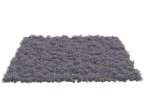 gras met bloemen geïsoleerd Aan transparant achtergrond. 3d renderen - illustratie png