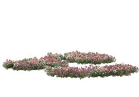 gras met bloemen geïsoleerd Aan transparant achtergrond. 3d renderen - illustratie png