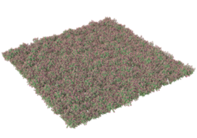 herbe avec des fleurs isolées sur fond transparent. rendu 3d - illustration png