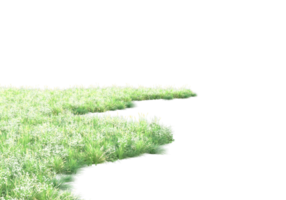 Grass with flowers isolated on transparent background. 3d rendering - illustration png