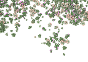 herbe avec des fleurs isolées sur fond transparent. rendu 3d - illustration png