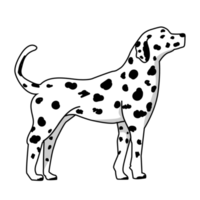 stående dalmatian hund png