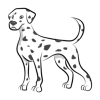 standing dalmatian dog png