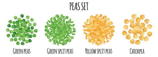 Peas set with Green, Yellow, Split and Chickpea. vector