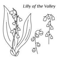 Set with Lily of the Valley doodle. Hand drawn outline vector illustration.