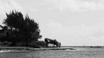 tropisk karibiska strand klar turkos vatten playa del carmen Mexiko. video