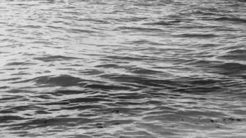 onde a tropicale spiaggia caraibico mare chiaro turchese acqua Messico. video