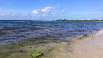 Tropical caribbean beach clear turquoise water Playa del Carmen Mexico. video