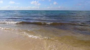 tropisch caraïben strand Doorzichtig turkoois water playa del carmen Mexico. video