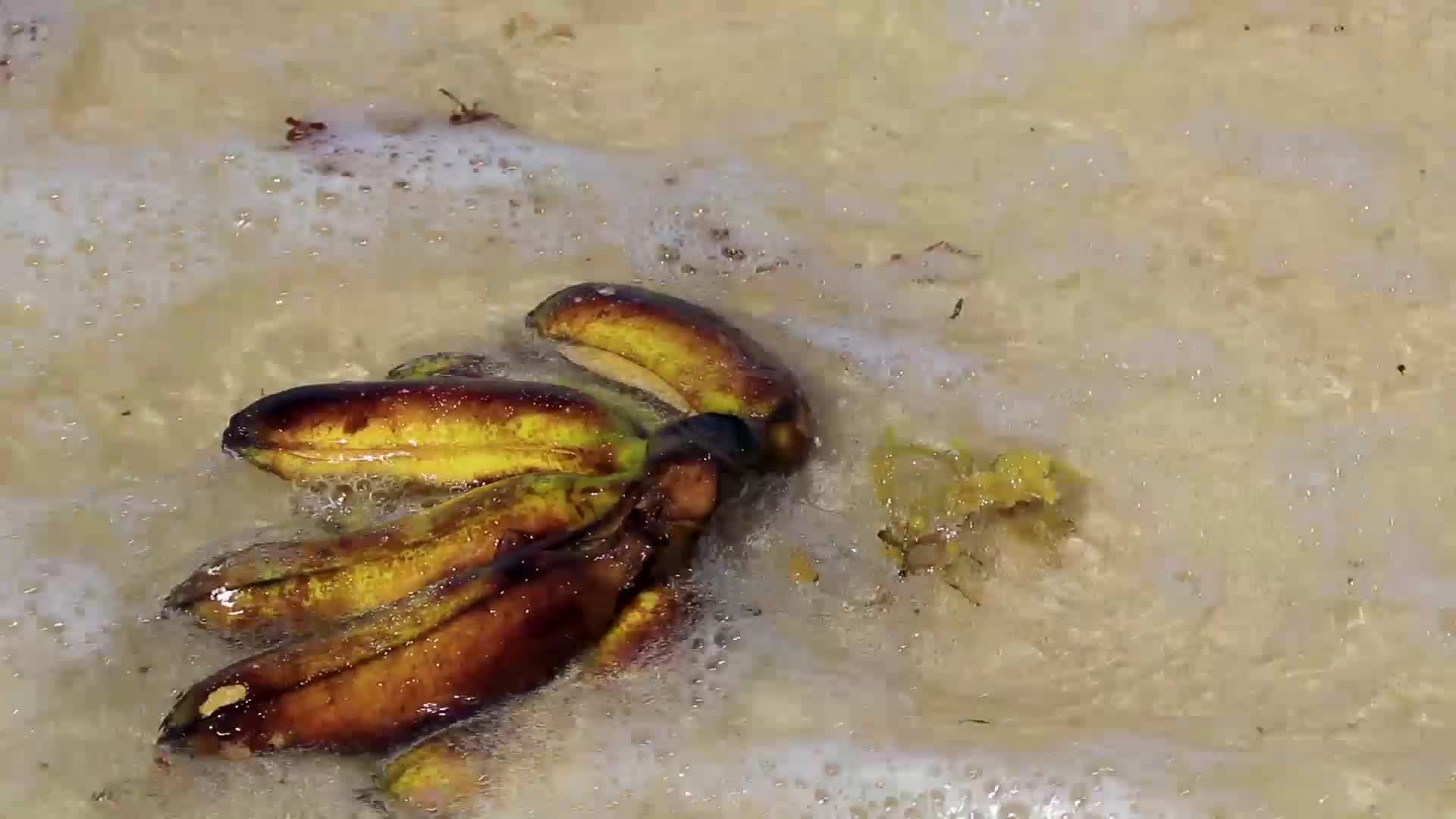 Banana bundle fruits floats in water on beach in Mexico. 19018277 Stock