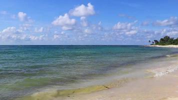 plage tropicale des caraïbes eau turquoise claire playa del carmen mexique. video