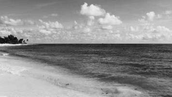 plage tropicale des caraïbes eau turquoise claire playa del carmen mexique. video