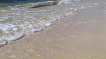 olas en la playa tropical mar caribe agua clara turquesa méxico. video