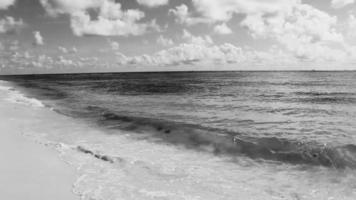 tropisch caraïben strand Doorzichtig turkoois water playa del carmen Mexico. video