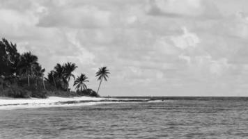 tropischer karibischer strand klares türkisfarbenes wasser playa del carmen mexiko. video