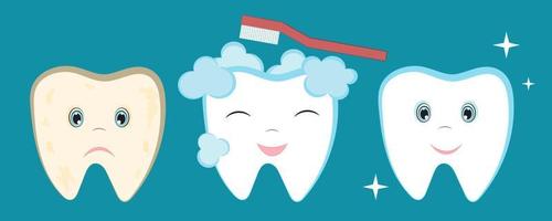 Dirty tooth with plaque, brushing teeth, clean beautiful smiling tooth. Cartoon illustration about cleaning, caring for teeth, oral hygiene. Suitable for designing dental brochures, booklets, flyers. vector