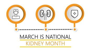 vector de concepto de mes de riñón nacional. El evento de cuidado de la salud se celebra en marzo. riñones, médico, iconos de escudo