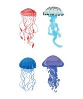 Set of Jellyfishes vector