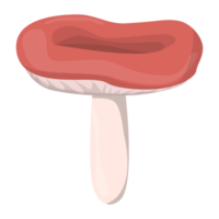 Russula-Pilz. essbare Bio-Pilze. Trüffel. Arten von Waldpilzen. bunte png-illustration. png