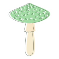 Green Amanita mushroom. Edible Organic mushrooms. Truffle. Forest wild mushrooms types. Colorful PNG illustration.