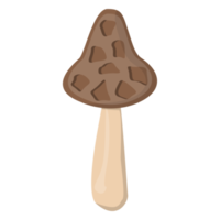Morel mushroom. Edible Organic mushrooms. Truffle. Forest wild mushrooms types. Colorful PNG illustration.