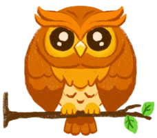 Cartoon cute owl character standing on tree branch sketching illustration png