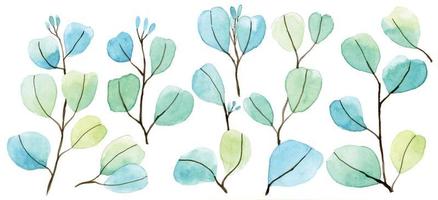 watercolor set with colorful eucalyptus leaves. airy delicate print on white background vector