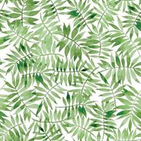 watercolor seamless pattern with tropical palm leaves. abstract print with green leaves on white background vector