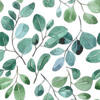 watercolor seamless pattern with tropical eucalyptus leaves on a white background. simple abstract print with green leaves vector